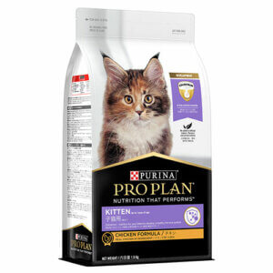 Purina Pro Plan - Kitten